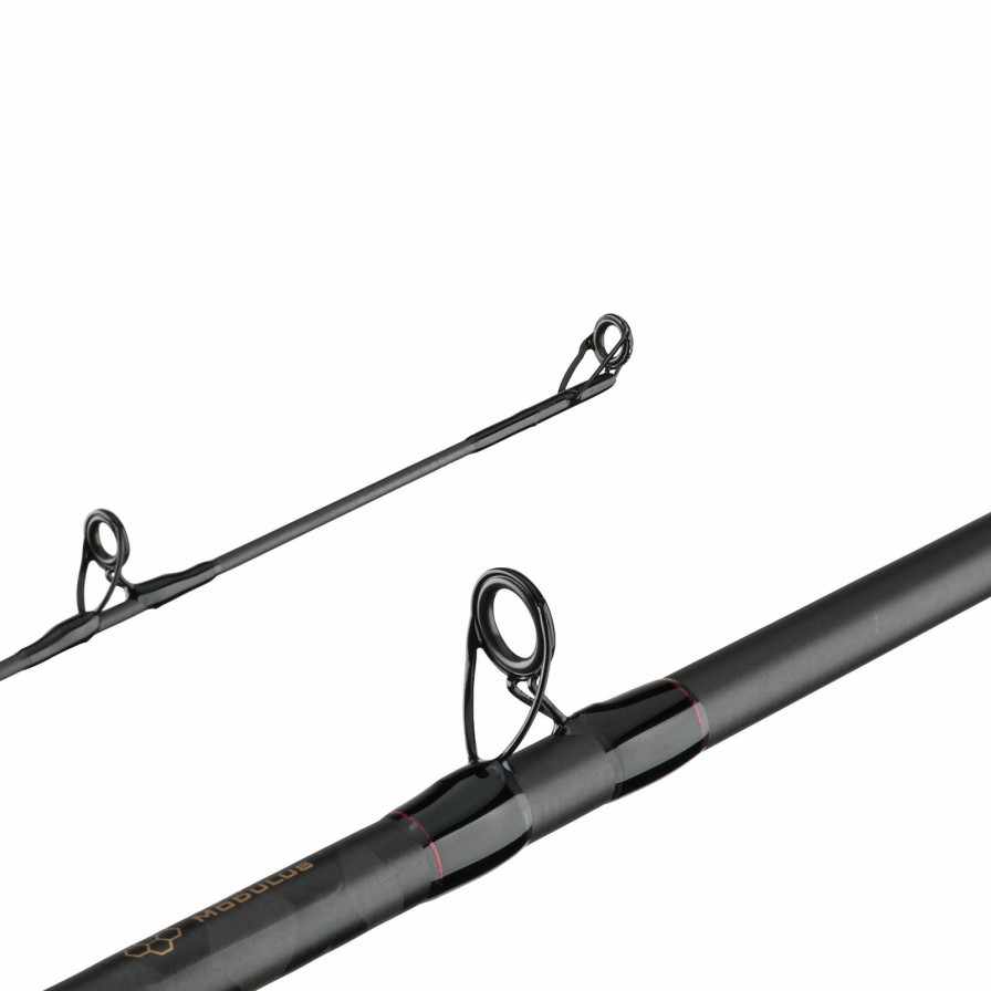 Rods * | Shop Berkley Lightning Rod Trolling Rod