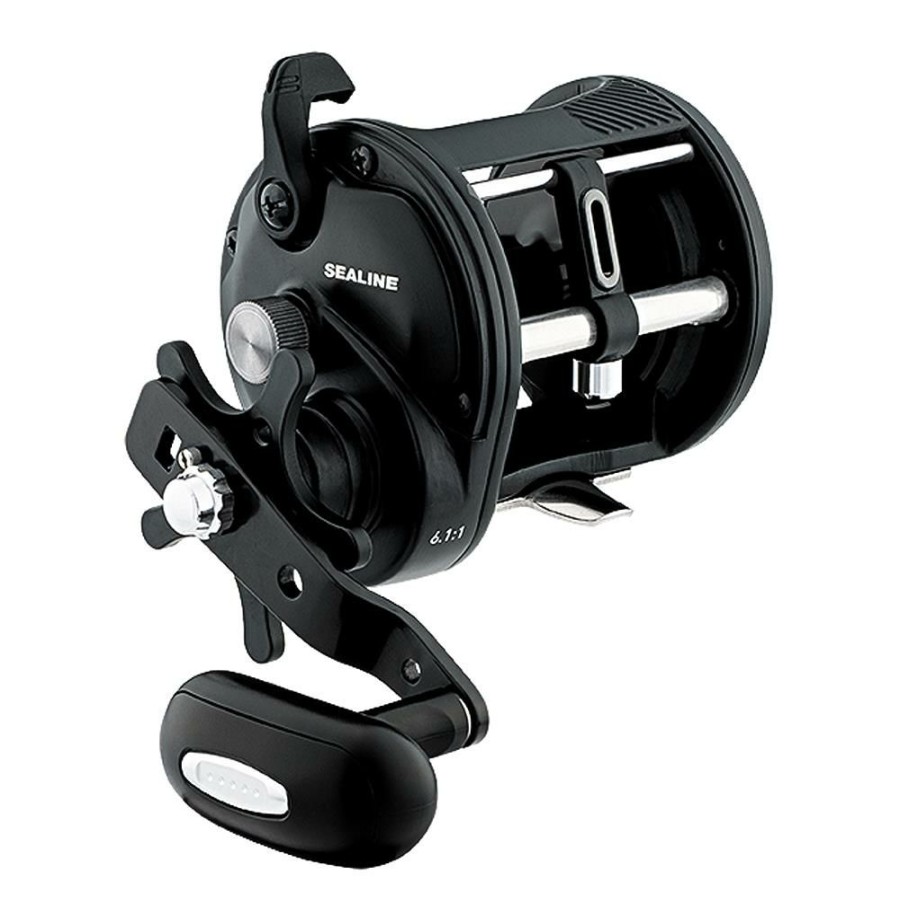 Reels * | Special Style Daiwa Sealine Levelwind Reel